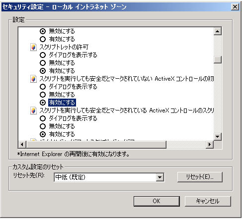 図6　［スクリプトを実行しても安全だとマークされていないActive Xコントロールの初期化とスクリプトの実行］を［有効］に