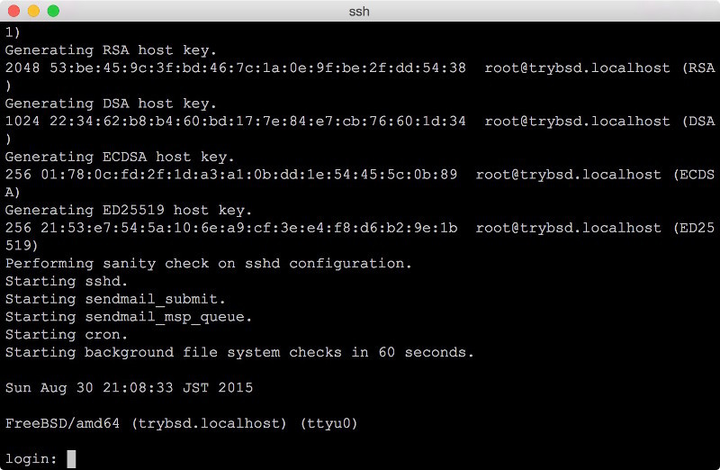 図14 FreeBSD 10.2-RELEASE on bhyve/FreeBSD 10.2-RELEASE