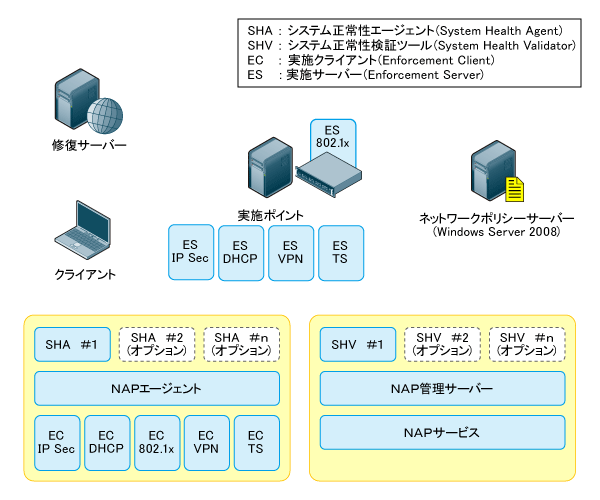 図2　NAPのコンポーネント