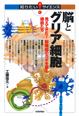 ［表紙］脳とグリア細胞 ―見えてきた！脳機能のカギを握る細胞たち―