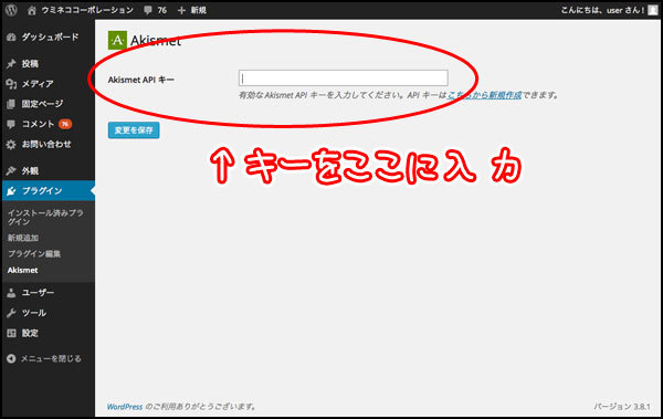 ユーザー登録をして、入手したAkismetAPIキーをWordPressの画面に入力すれば、完了です