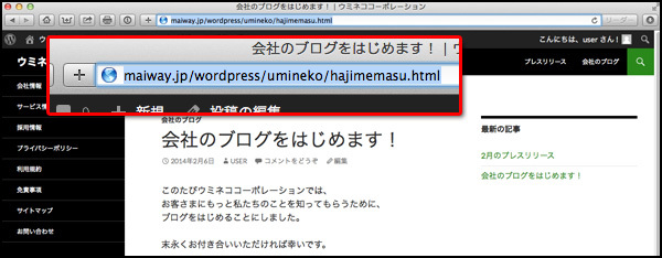 これがパーマリンク。なんとWordPressでは、これをカスタマイズできるのです