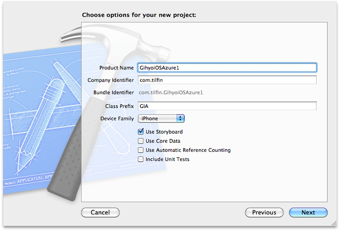 図5　Choose options for your new projectダイアログ