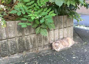 @BunichiSSさんからの投稿写真です @BunichiSSさんからの投稿写真です