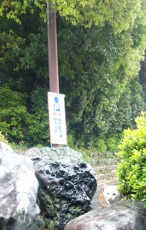 動かざること石のごとし 動かざること石のごとし20170306