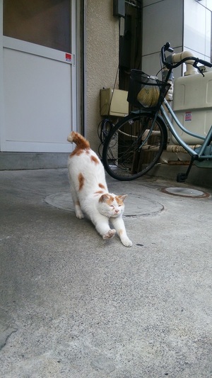 兄です。