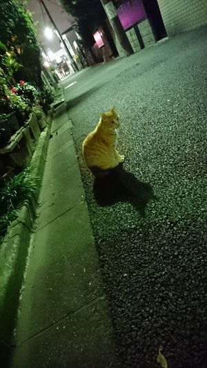 非常に美しい！