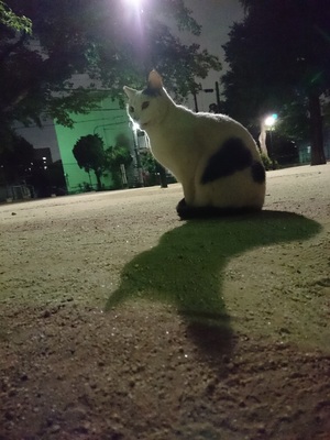 正常時