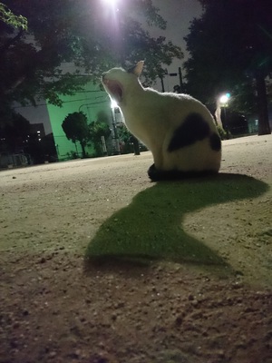 あくび時