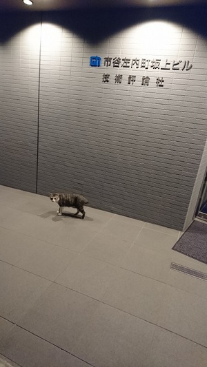 ねこ社員です