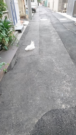 近付いてみると