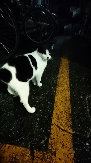 お尻だって見せちゃおうか？
