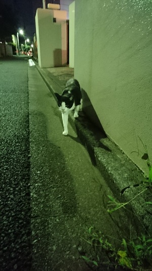 足は真っ白！