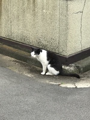 社員iからの投稿2