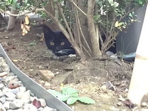 社員koからの投稿1