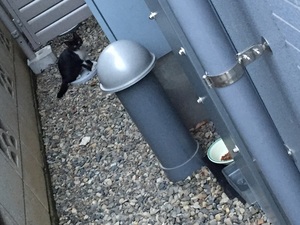 社員koからの投稿2