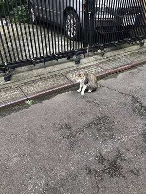社員suからの投稿1
