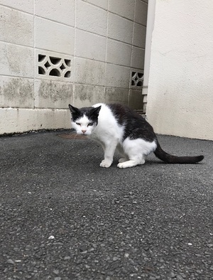 社員suからの投稿3