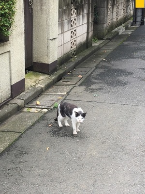 社員foからの投稿1
