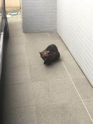 社員foからの投稿2
