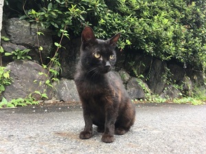 azumakuniyuki様からの投稿4 azumakuniyuki様からの投稿4