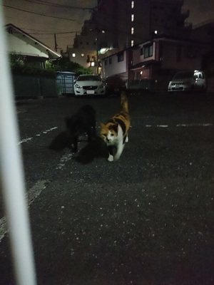 社員iからの投稿1