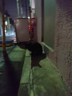 社員iからの投稿3