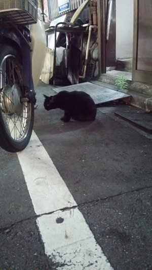 お蕎麦屋さんのくろこ