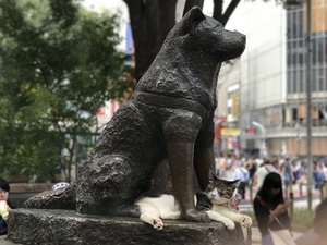 tshiodasama様からの投稿1 tshiodasama様からの投稿