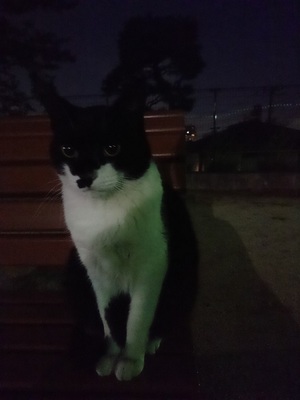 ベンチに座る黒仮面さん