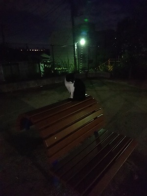 ベンチに座る黒仮面さん2