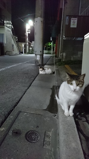 はちべい軍団