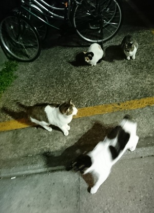 はちべい軍団2