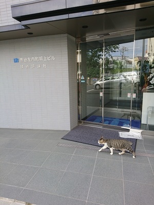 朝出勤するねこ社員