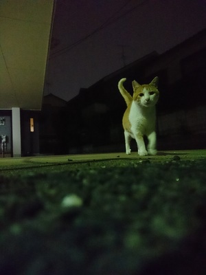 チーム馴れ馴れ2
