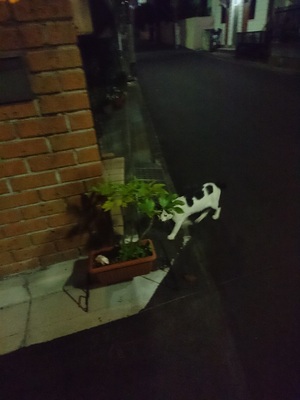 夜のはっつぁん3