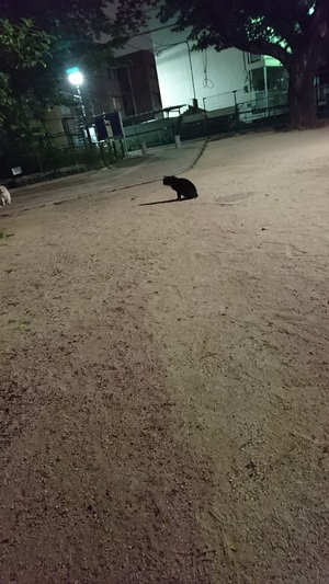 ほぼくろこの元に！