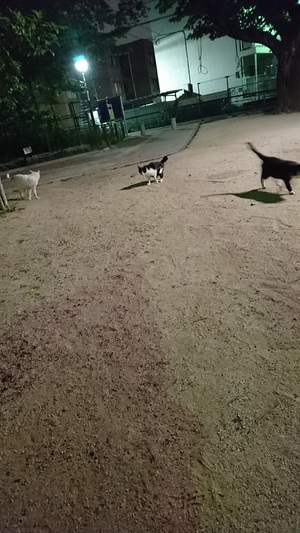 タッチ！