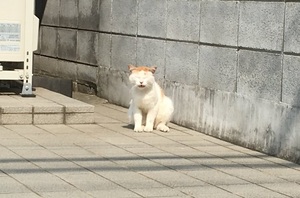 BunichiSS様からの投稿 BunichiSS様からの投稿