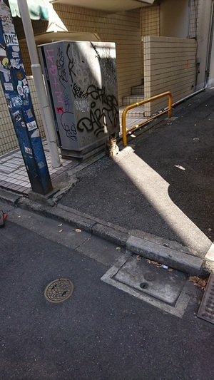 わずかな陽光でひなたぼっこ