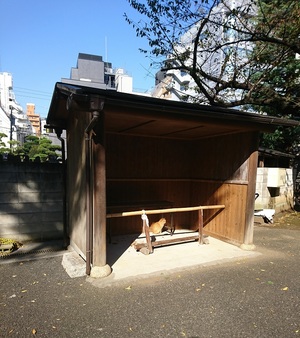 風を除けつつのひなたぼっこ