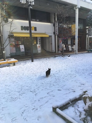 m0ftn様からの投稿2 m0ftn様からの投稿2