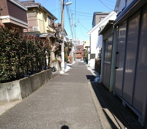 見えるぞ！