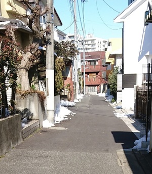 ああ・・・、ねこが見える ああ・・・、ねこが見える