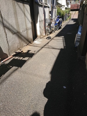 つちのこ？