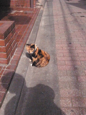 みけこ5