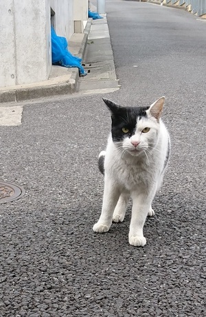 正臣くん2