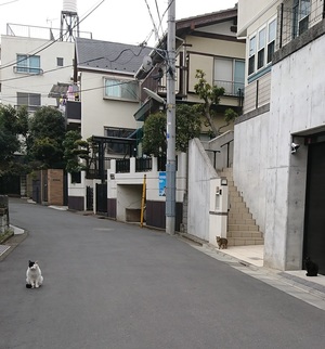 正臣くん1