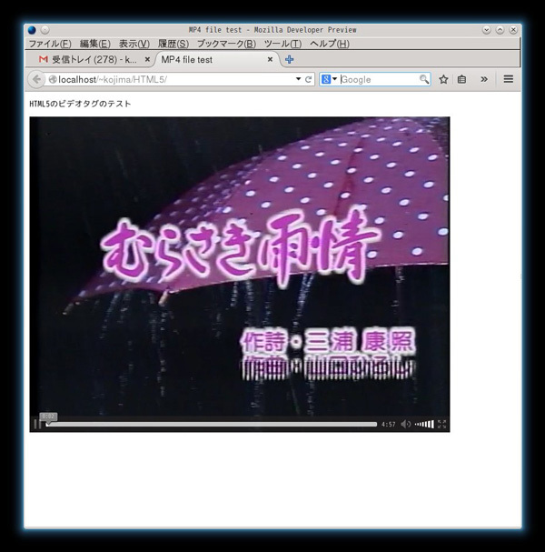 図4　Firefoxでの動画再生