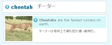 陸上の動物コース写真